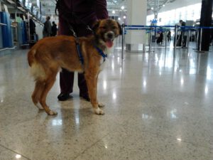 Jonathan auf dem Flughafen Athen